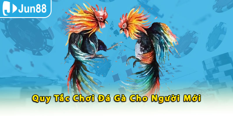 Quy tắc chơi đá gà cho người mới